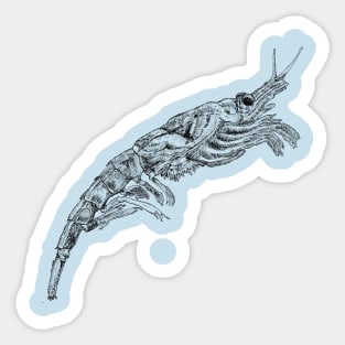 Shrimp Sticker